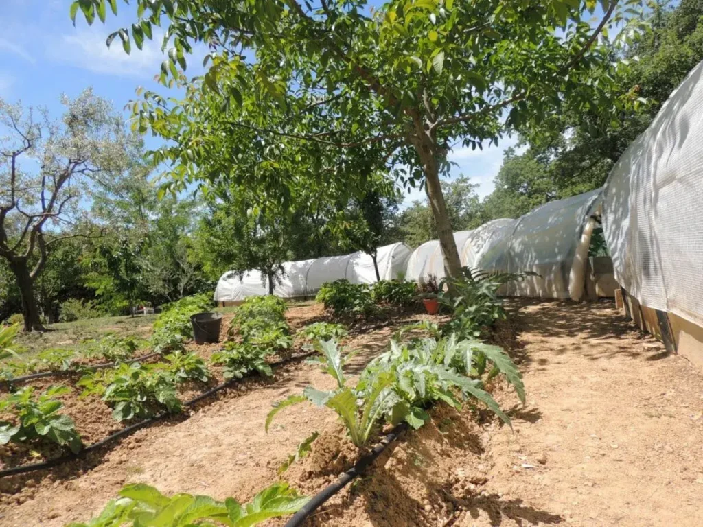 Serre pour garantir la culture bio même par temps pluvieux dans le jardin potager des Chênes Verts-Bucaille.