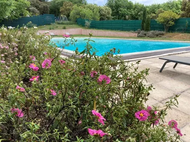 Piscine à débordement chauffée naturellement par le soleil, vue sur le parc du Luberon, idéale pour un séjour détente en Provence.