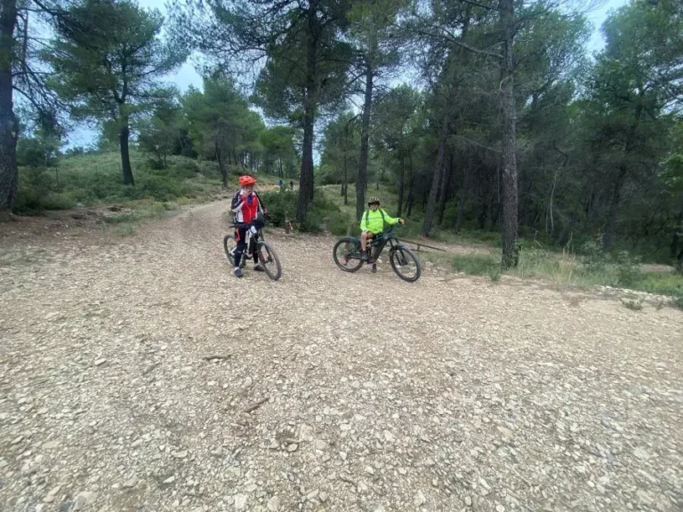 VTT des Vignes - Événement convivial pour amateurs de VTT