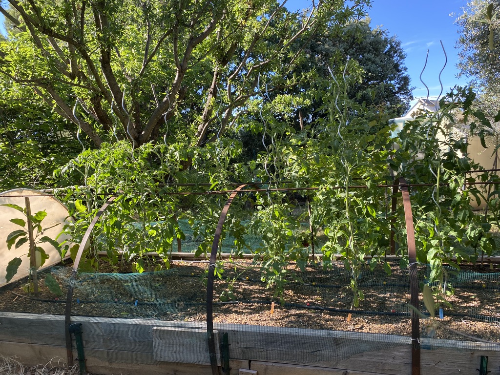 Potager provençal et produits locaux