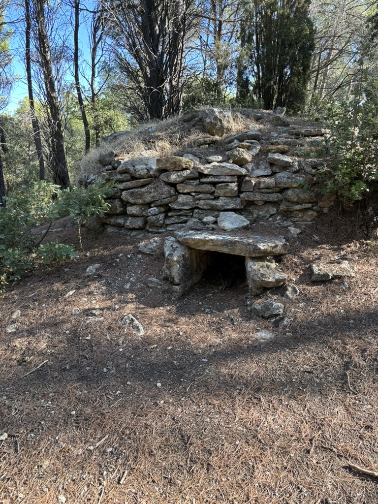 Patrimoine en pierre au cœur d’un sentier boisé du Luberon