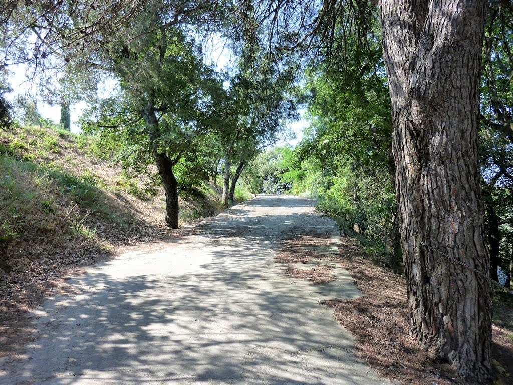 Chemin ombragé pour découvrir le Luberon