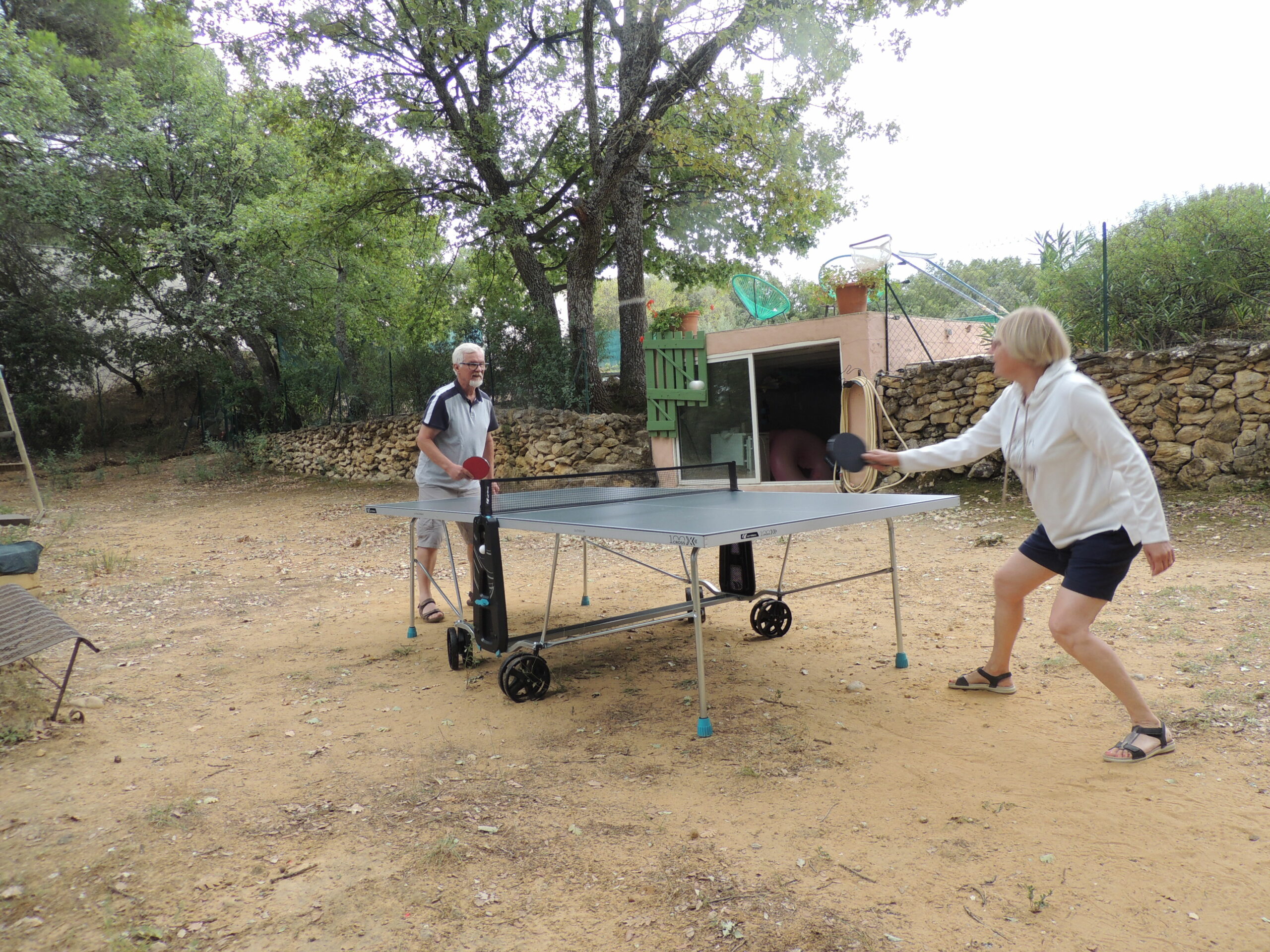 tennis-de-table avec-joueurs