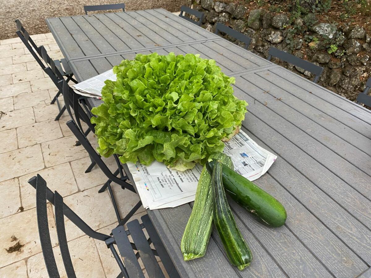 Jardin bio et sa table appréciés de nos hôtes en Sud Luberon