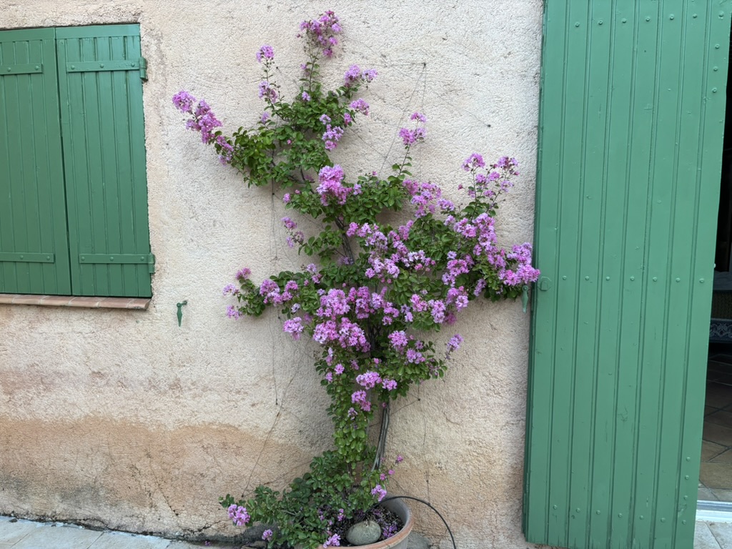 Détail fleuri de la maison des Chênes Verts