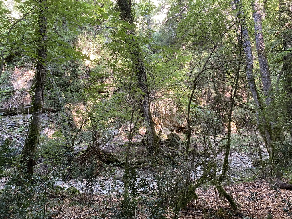Sentier de randonnée dans le Luberon
