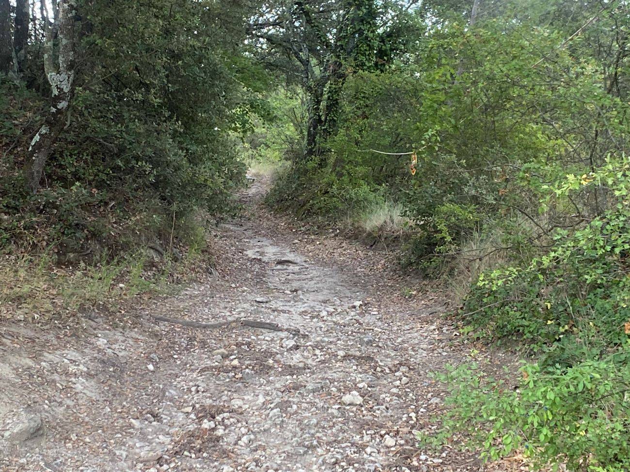 Une première vue du parcours du 31 Juillet 2024